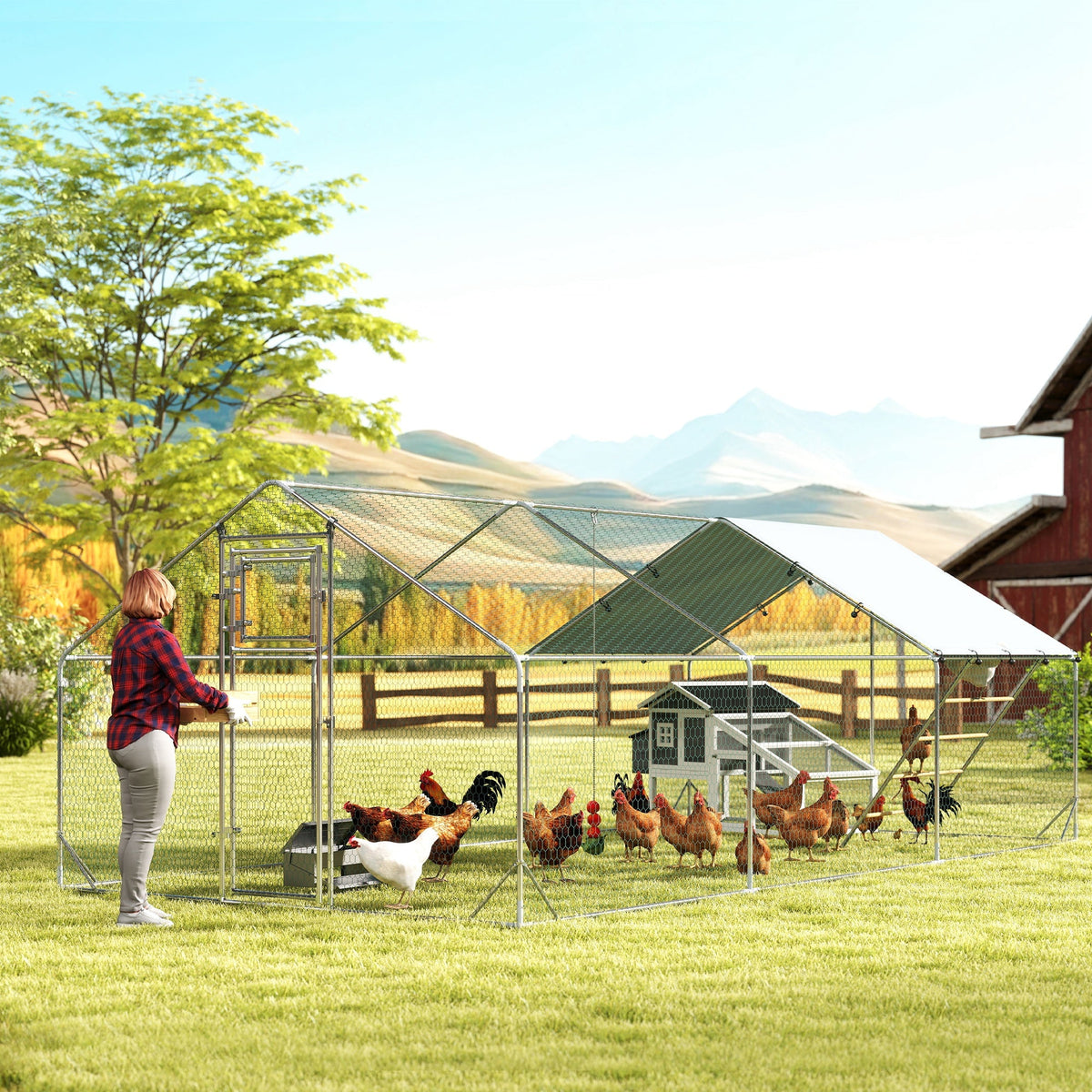 Chicken Coops & Hen Houses