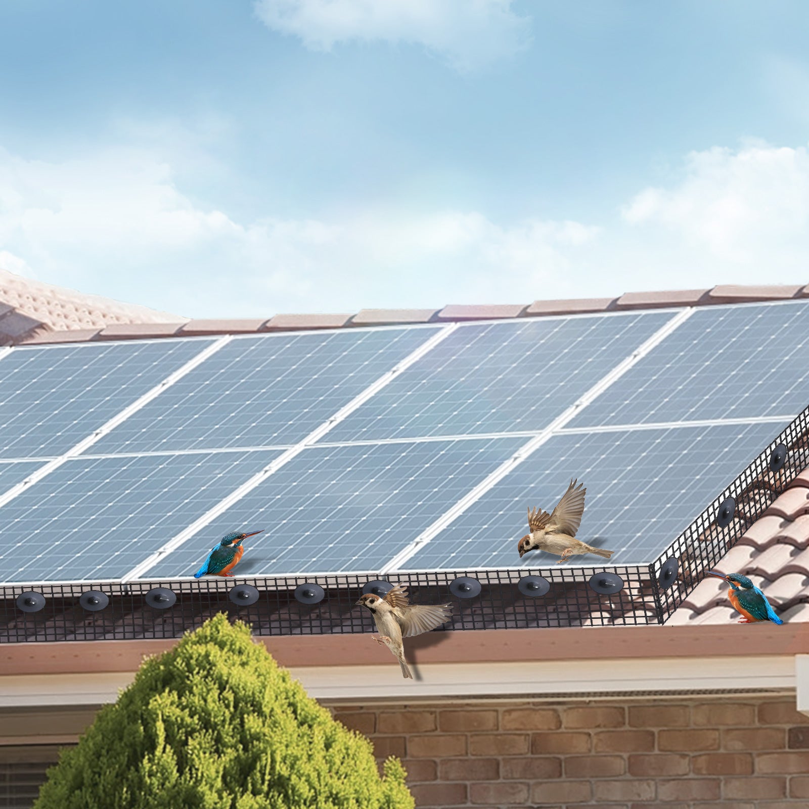 Solar Panel Bird Guard, Critter Guard Roll Kit With Tainless Steel Fasteners, Solar Panel Guard With Rust-proof PVC Coating,