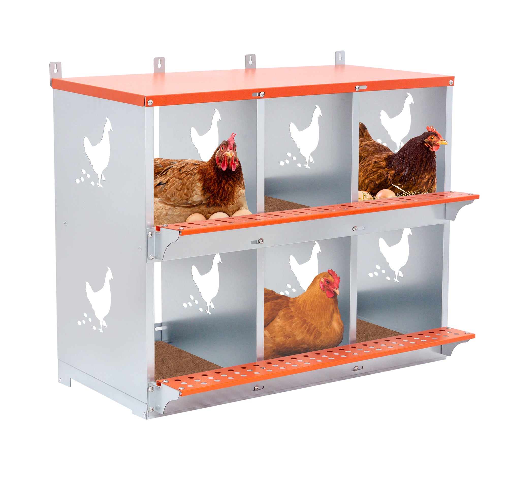 6-Bay Metal Nest Box-Wall Mount For Hens Ducks, Easy Egg  Assembly, Vented Galvanized Steel Coop Equipment Orange