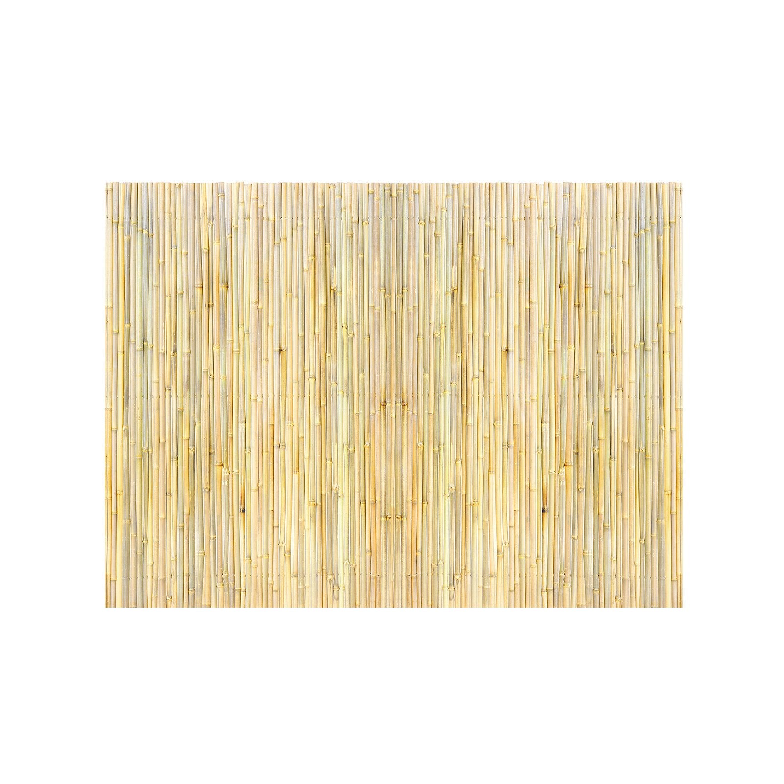 Natural Rolled Bamboo Fence Bamboo Panel 4 Ft H X 6 Ft L X 0.75 In D.