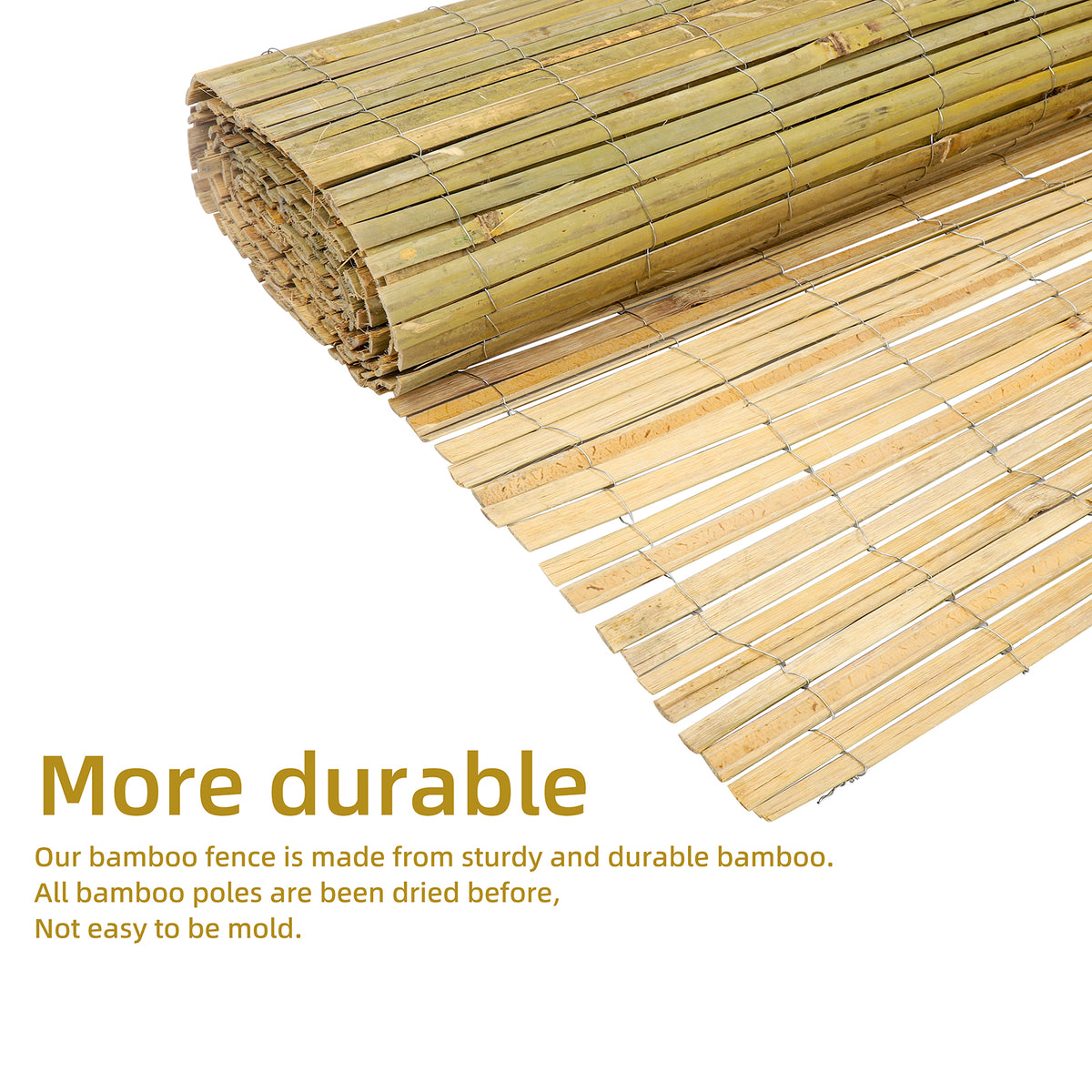 270bed80721078eda4afe91ad30c7557
