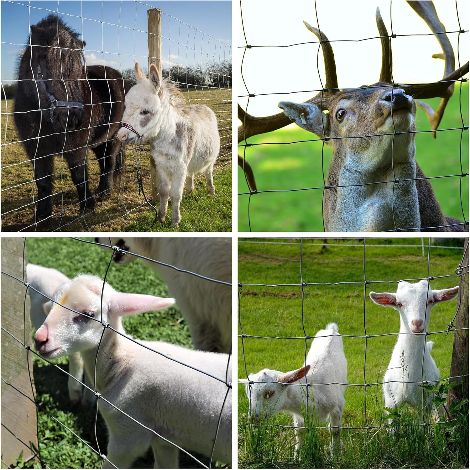 Farm Fence 3ft X 164ft 14Gauge Heavy Zinc Coating Cattle Fence,Galvanized Field Wire Fencing Deer Fence,Goat Fence,Hog Wire Fencing For Yard Livestock & Animals Protection