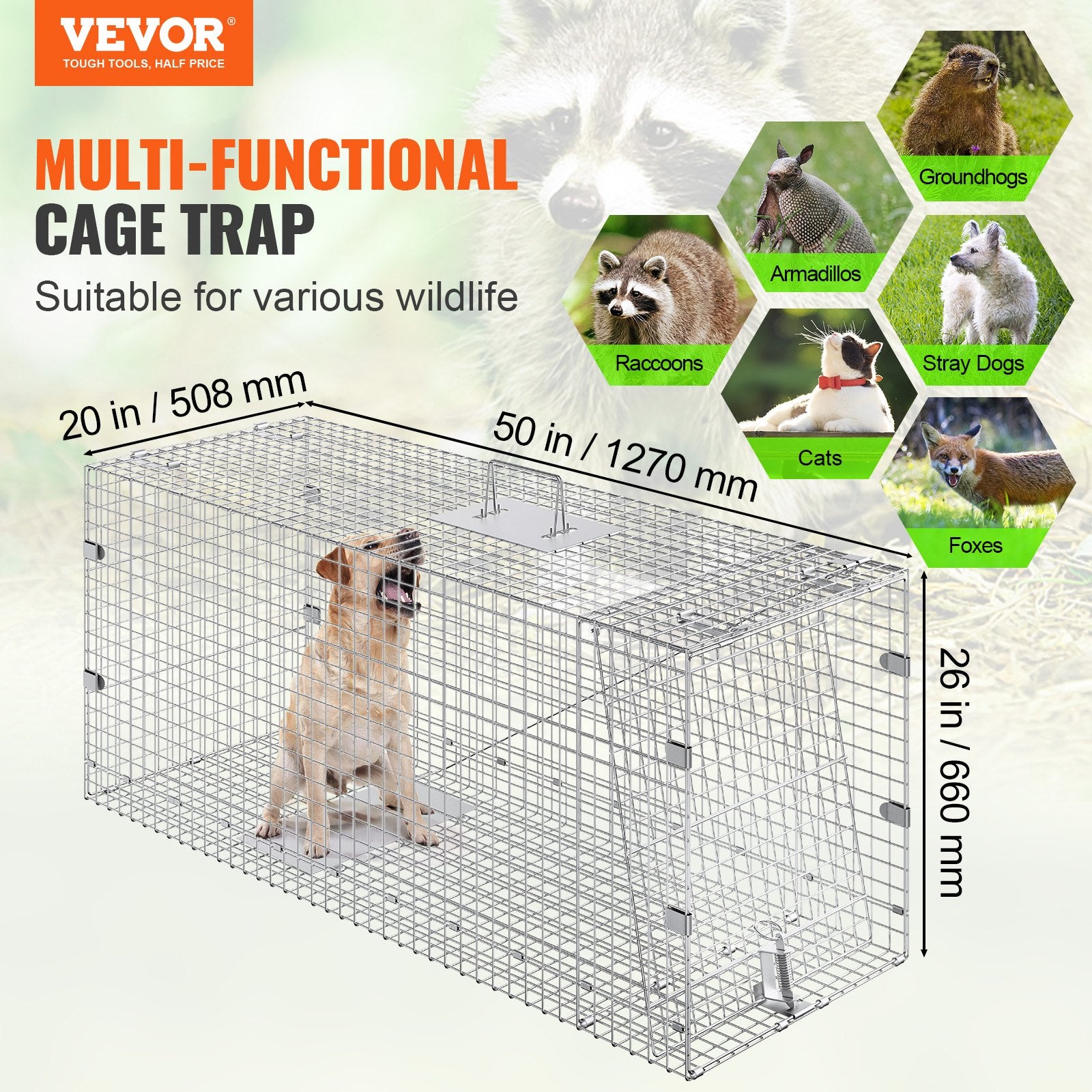 Live Animal Cage Trap, Humane Cat Trap Galvanized Iron, Folding Animal Trap With Handle For Stray Dogs, Armadillos, Raccoons, Marmots, Foxes